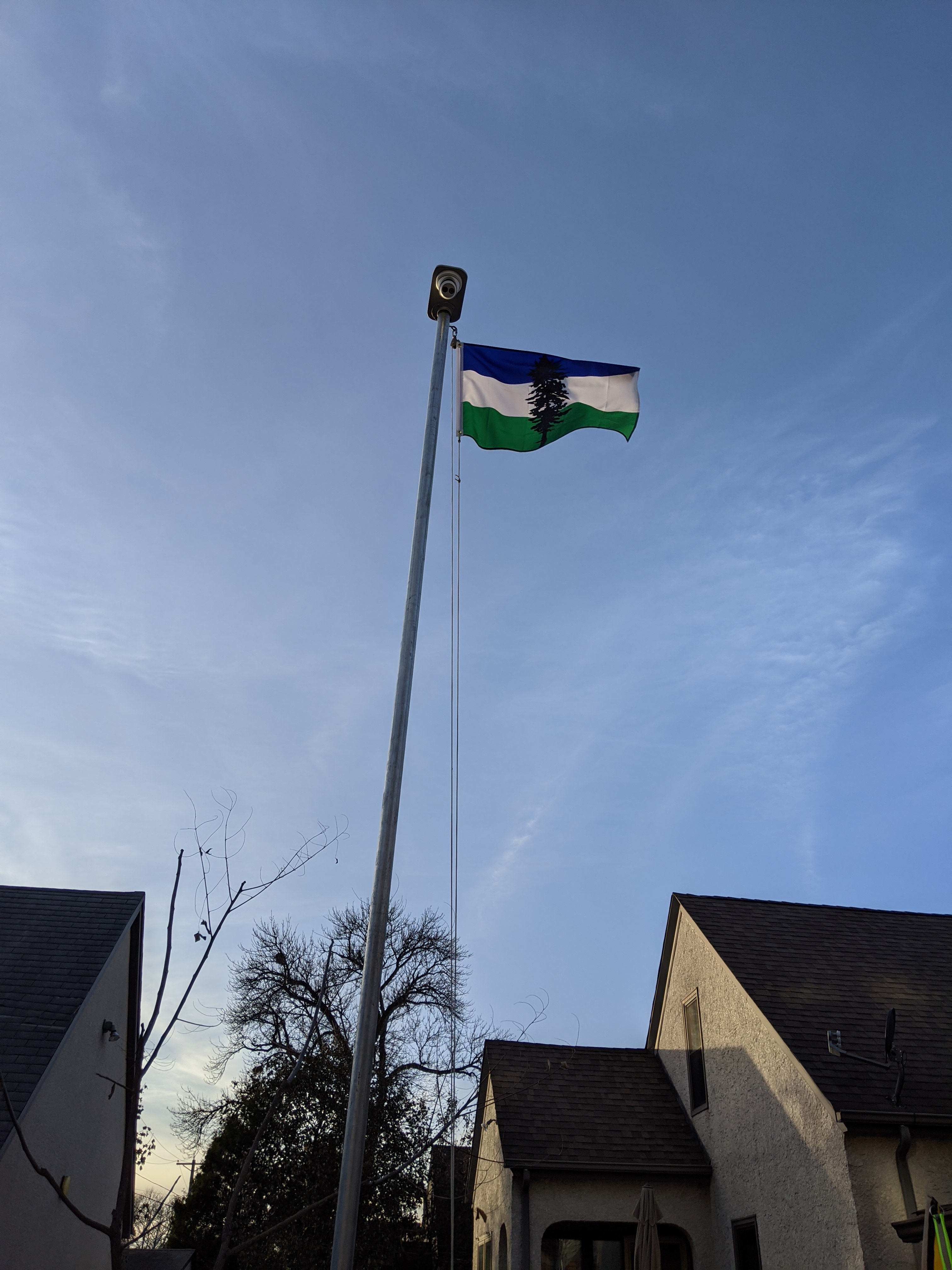 etree_flagpole_is_vertical_and_the_flag_raised_photo