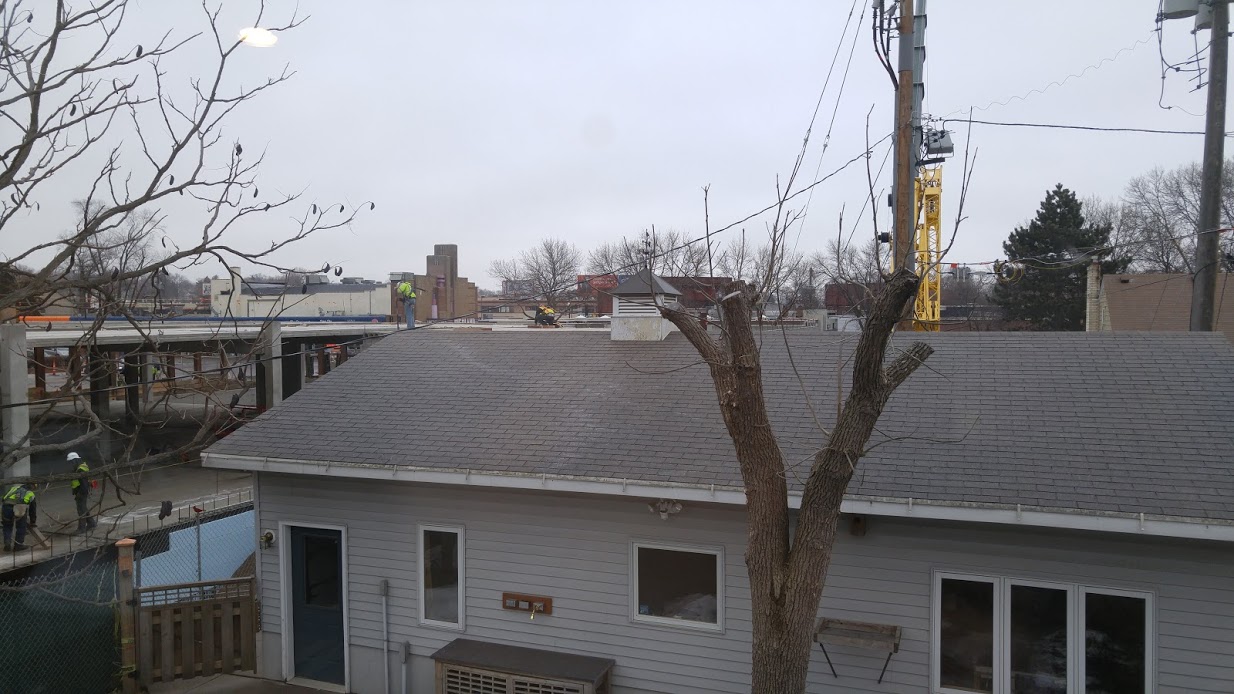 etree_without_all_of_its_leafy_branches_and_men_on_the_roof_photo