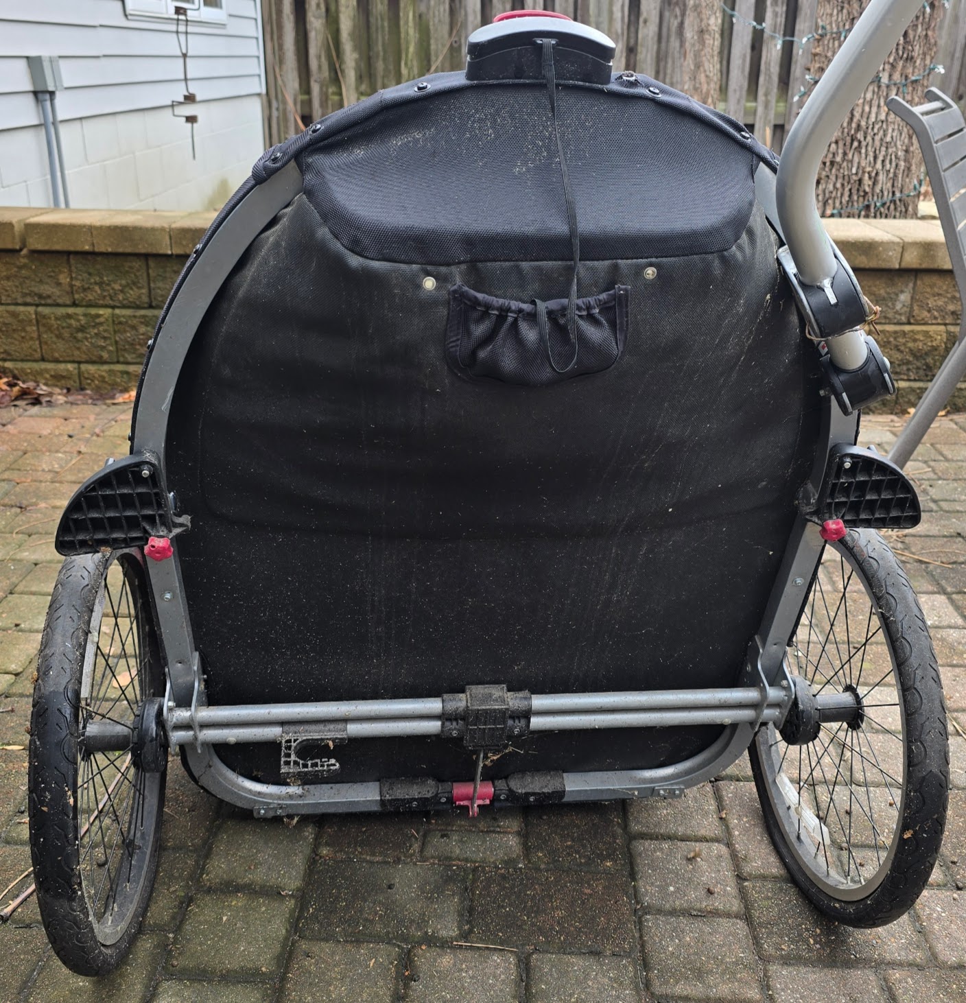 gigi_bottom_view_pre-change_photo