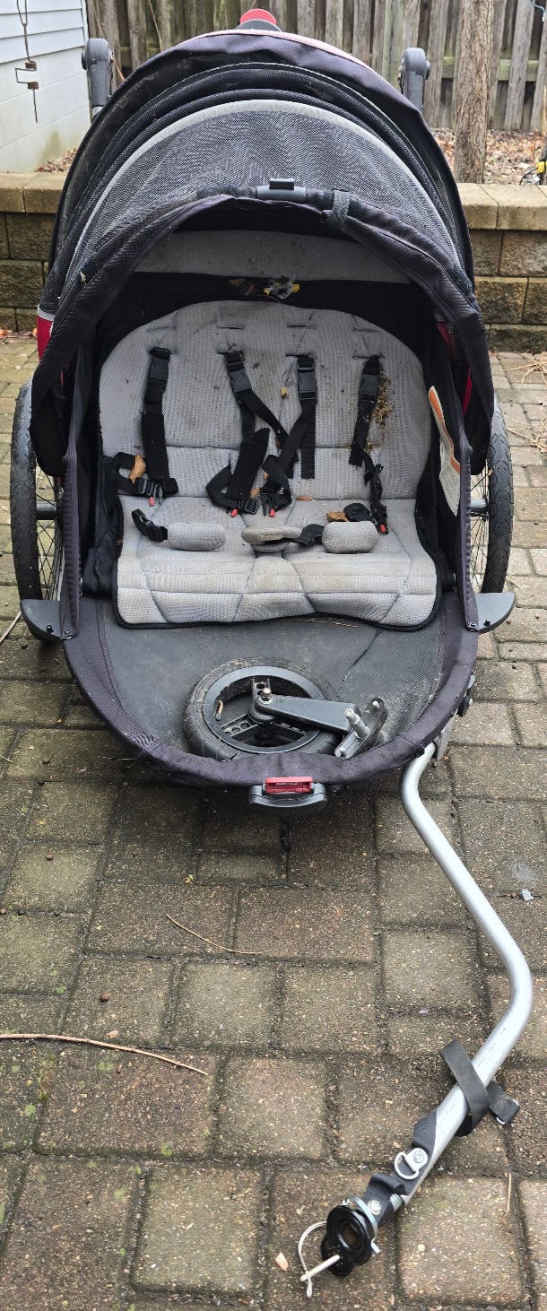 gigi_front_view_pre-change_photo