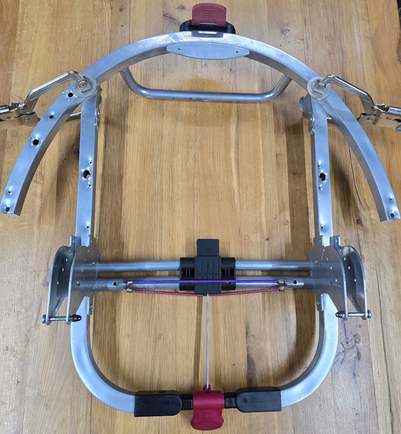 gigi_shrunken_bits_and_pieces_plus_original_frame_front_photo